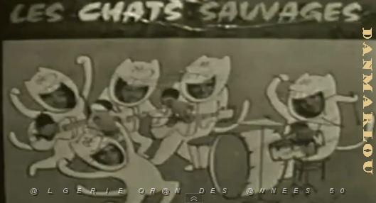 LES CHATS SAUVAGES - EST CE QUE TU LE SAIS.JPG